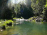 Pool on the Rosewood River